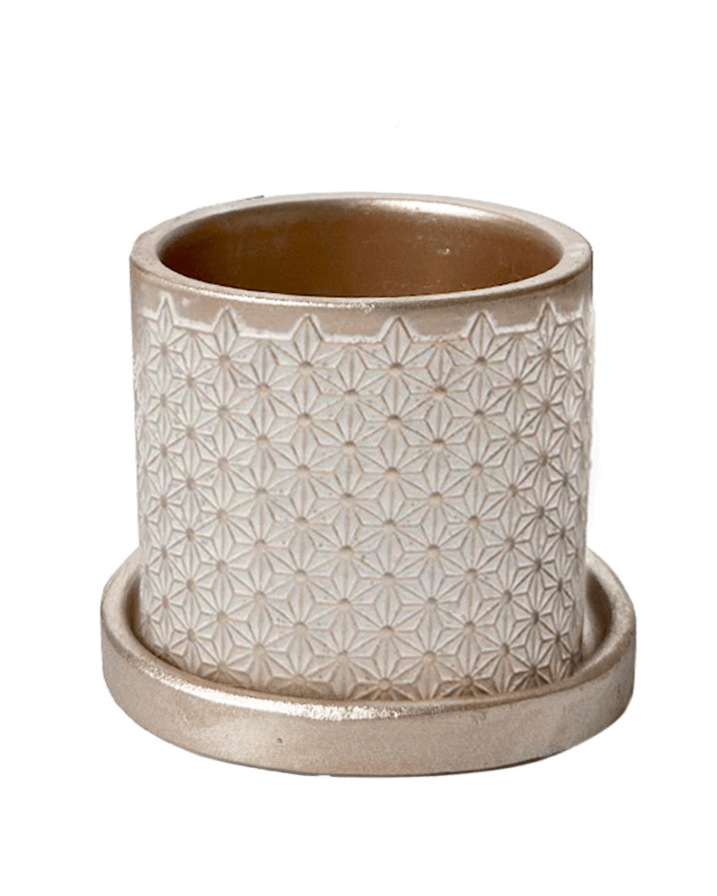 Balter Ceramic Pot And Saucer Set - Chive Ceramics Studio - Pots - Chive Ceramics Studio