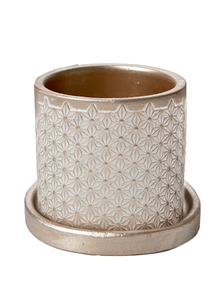 Balter Ceramic Pot And Saucer Set - Chive Ceramics Studio - Pots - Chive Ceramics Studio