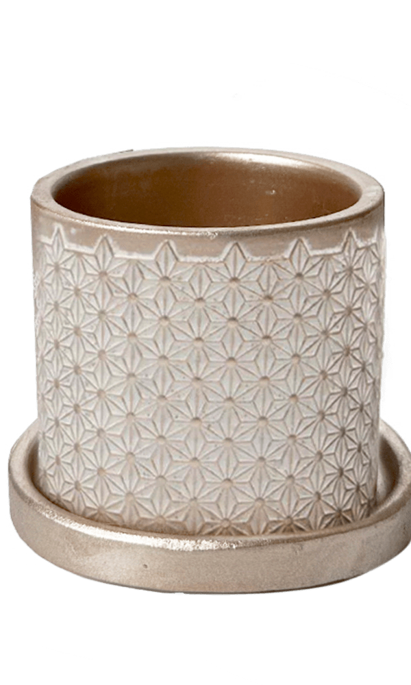 Balter Ceramic Pot And Saucer Set - Chive Ceramics Studio - Pots - Chive Ceramics Studio