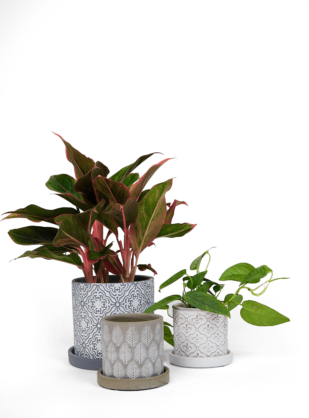 Balter Ceramic Pot And Saucer Set - Chive Ceramics Studio - Pots - Chive Ceramics Studio