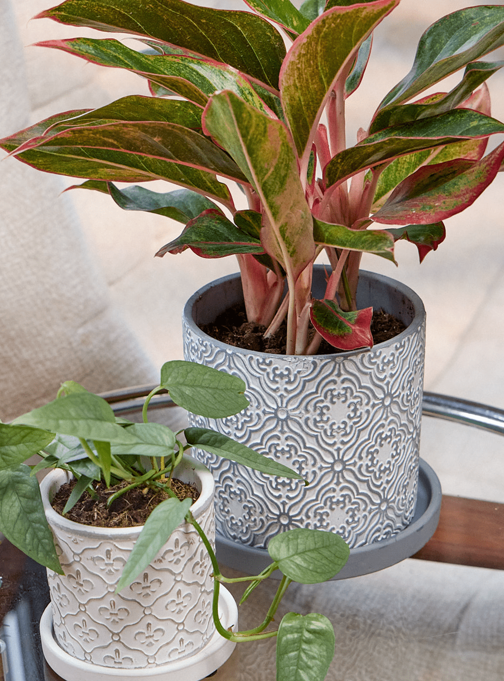 Balter Ceramic Pot And Saucer Set - Chive Ceramics Studio - Pots - Chive Ceramics Studio