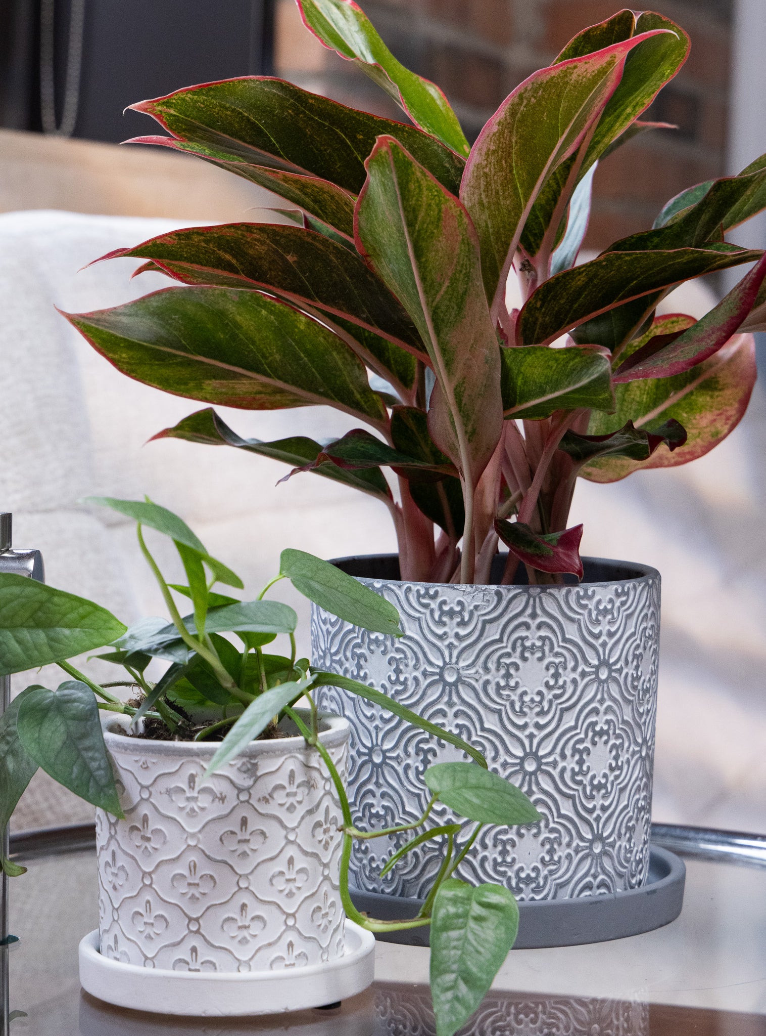 Balter Ceramic Pot And Saucer Set - Chive Ceramics Studio - Pots - Chive Ceramics Studio