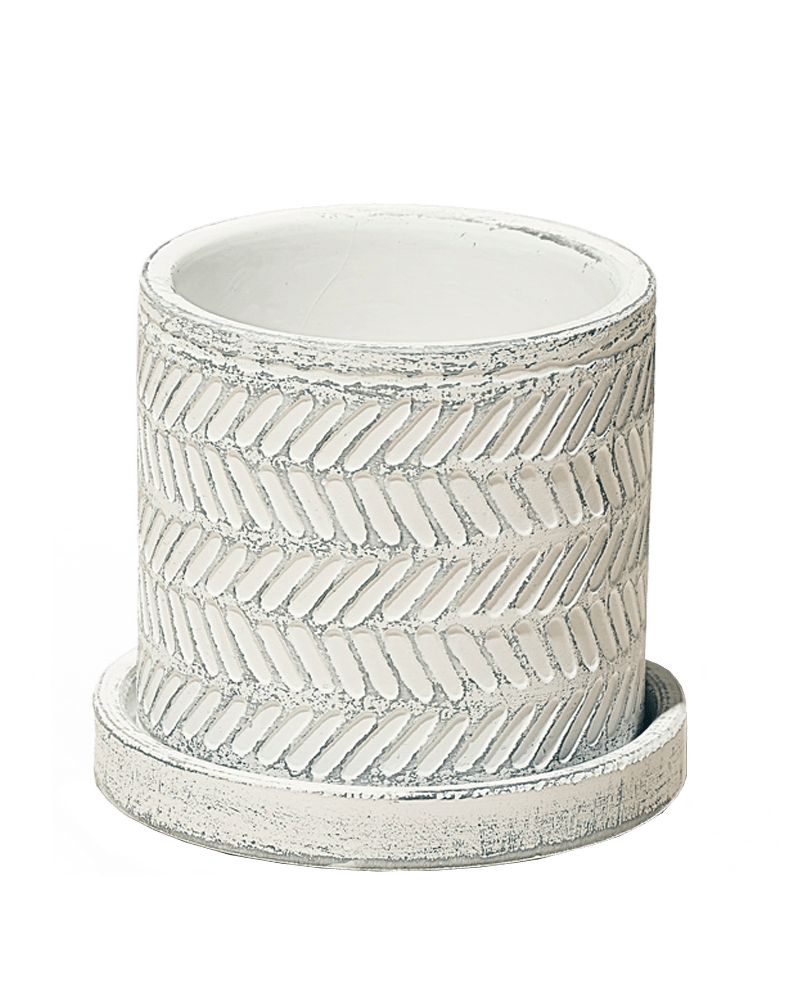 Balter Ceramic Pot And Saucer Set - Chive Ceramics Studio - Pots - Chive Ceramics Studio