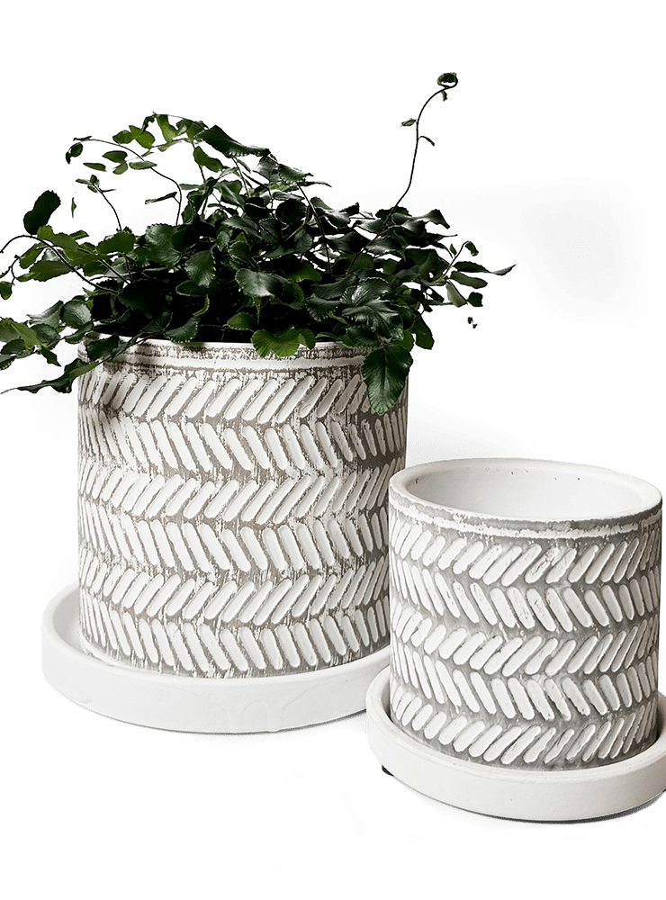 Balter Ceramic Pot And Saucer Set - Chive Ceramics Studio - Pots - Chive Ceramics Studio