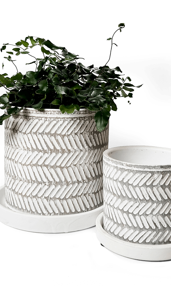 Balter Ceramic Pot And Saucer Set - Chive Ceramics Studio - Pots - Chive Ceramics Studio