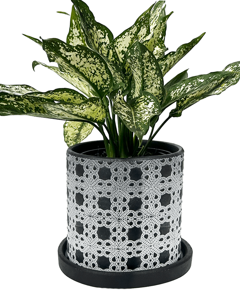 Balter Ceramic Pot And Saucer Set - Chive Ceramics Studio - Pots - Chive Ceramics Studio