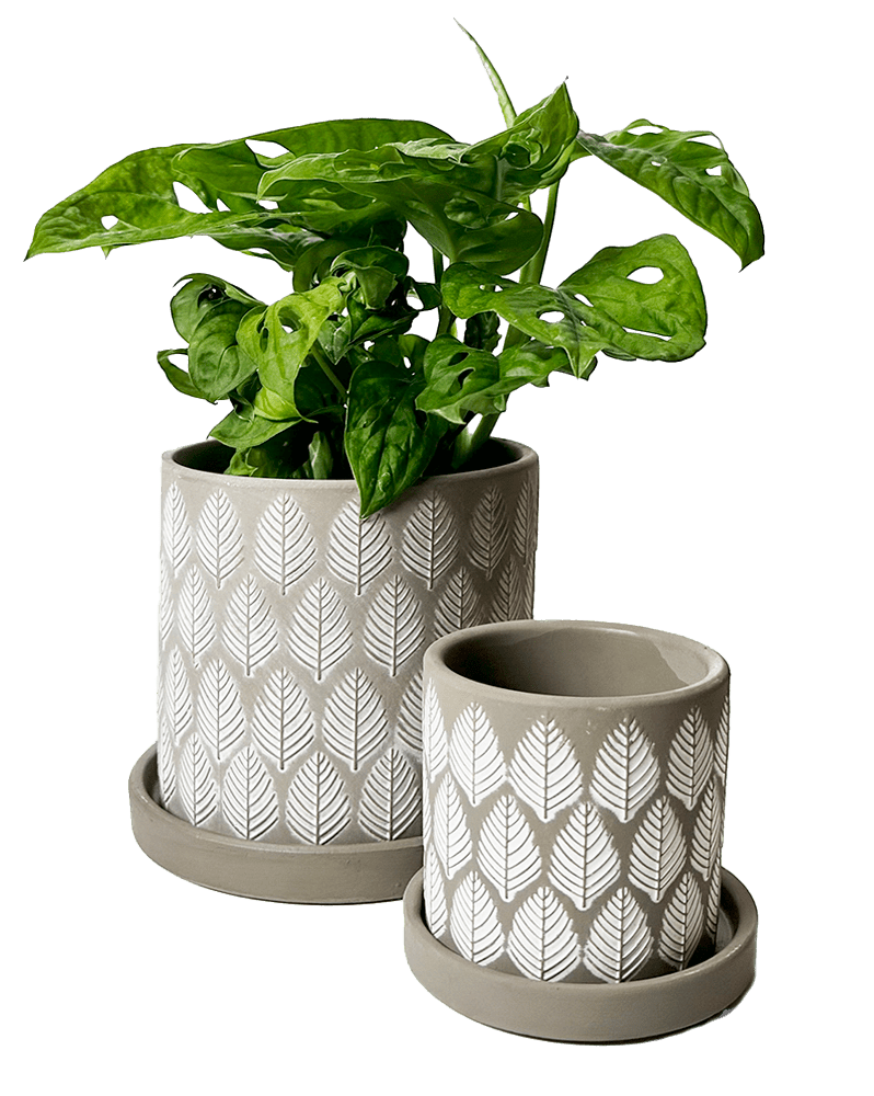 Balter Ceramic Pot And Saucer Set - Chive Ceramics Studio - Pots - Chive Ceramics Studio