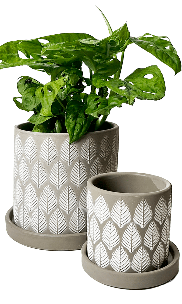 Balter Ceramic Pot And Saucer Set - Chive Ceramics Studio - Pots - Chive Ceramics Studio