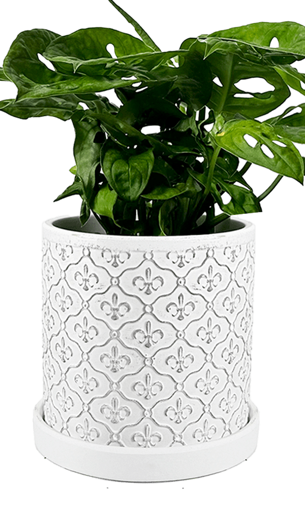 Balter Ceramic Pot And Saucer Set - Chive Ceramics Studio - Pots - Chive Ceramics Studio