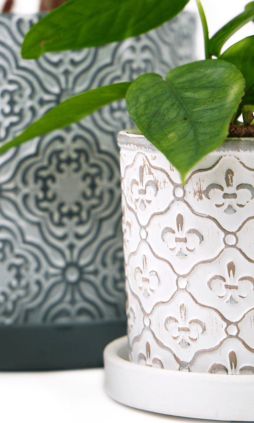 Balter Ceramic Pot And Saucer Set - Chive Ceramics Studio - Pots - Chive Ceramics Studio