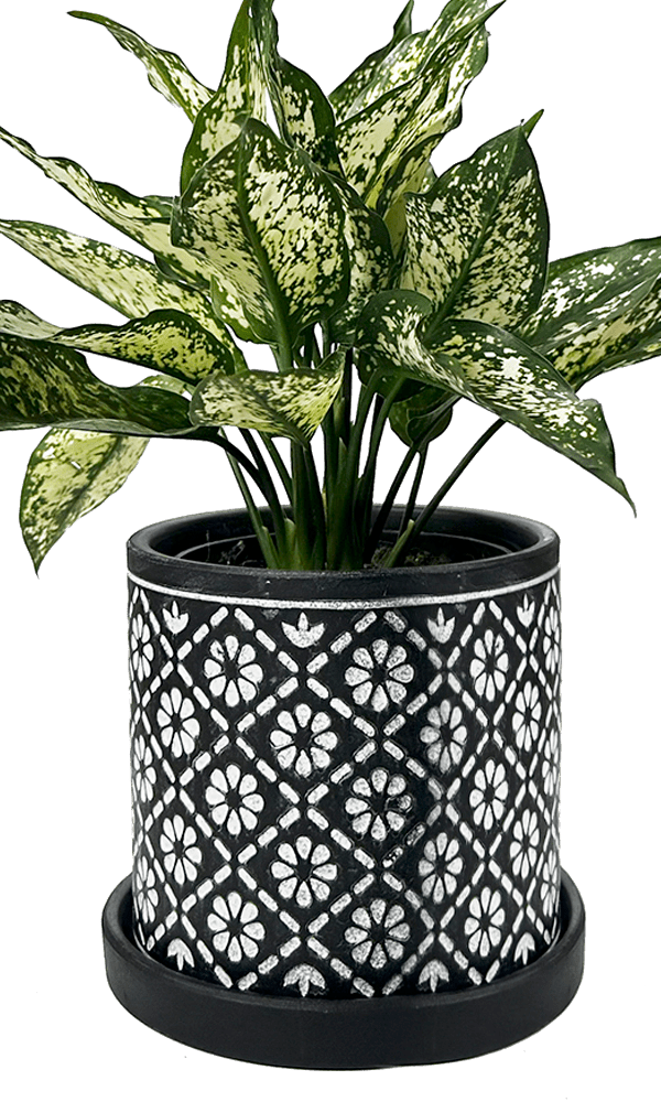 Balter Ceramic Pot And Saucer Set - Chive Ceramics Studio - Pots - Chive Ceramics Studio