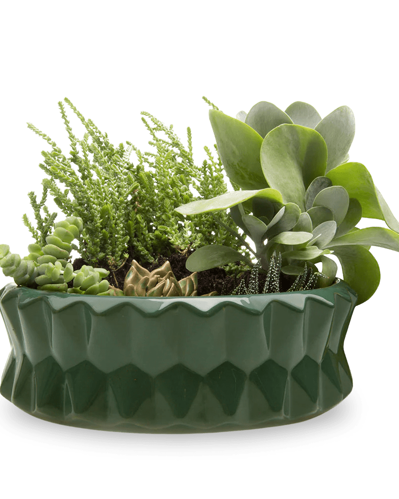 Fang Ceramic Modern Planter For Succulents - Chive Ceramics Studio - Pots - Chive Ceramics Studio