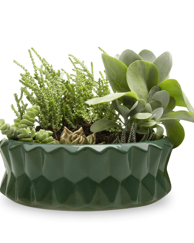 Fang Ceramic Modern Planter For Succulents - Chive Ceramics Studio - Pots - Chive Ceramics Studio