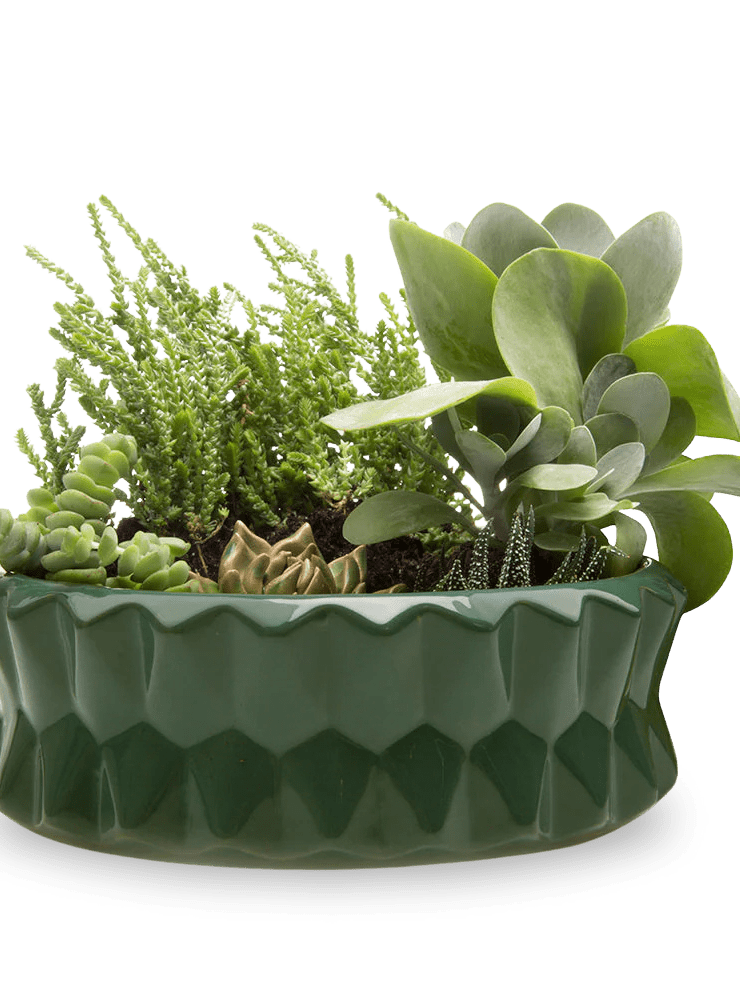 Fang Ceramic Modern Planter For Succulents - Chive Ceramics Studio - Pots - Chive Ceramics Studio