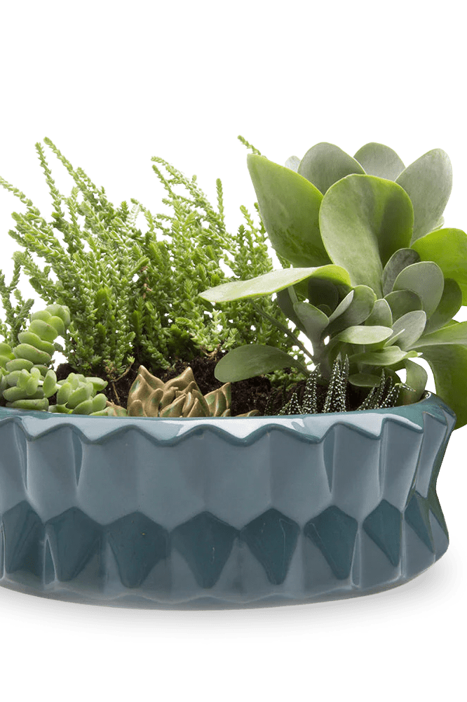 Fang Ceramic Modern Planter For Succulents - Chive Ceramics Studio - Pots - Chive Ceramics Studio