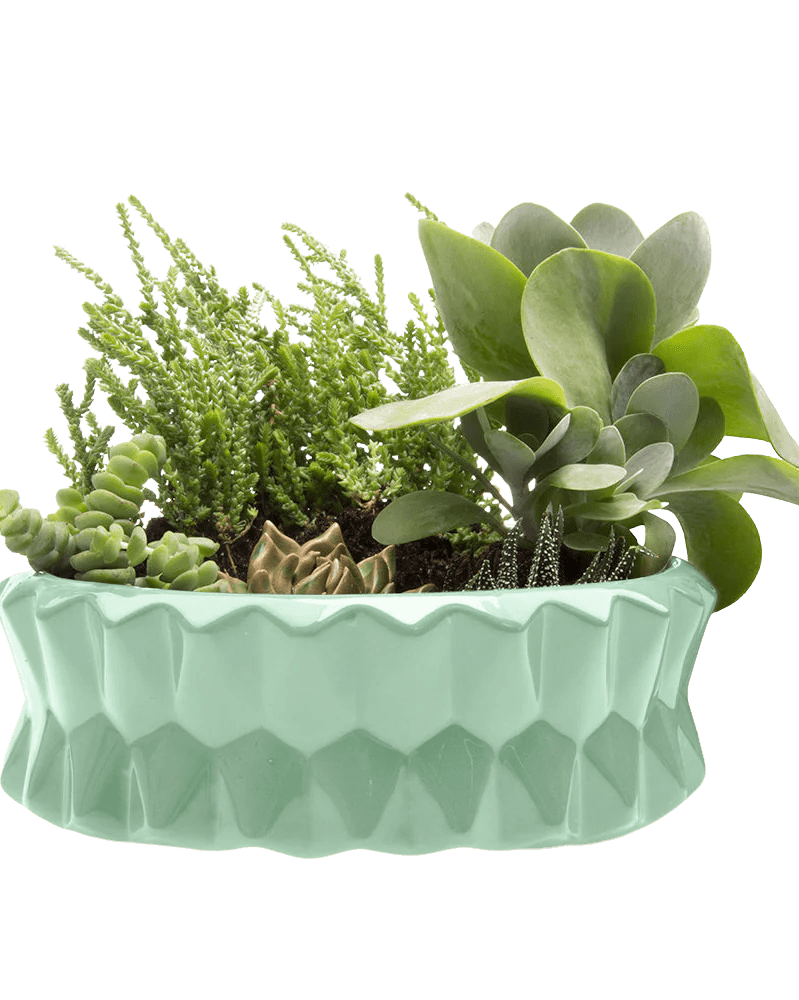 Fang Ceramic Modern Planter For Succulents - Chive Ceramics Studio - Pots - Chive Ceramics Studio