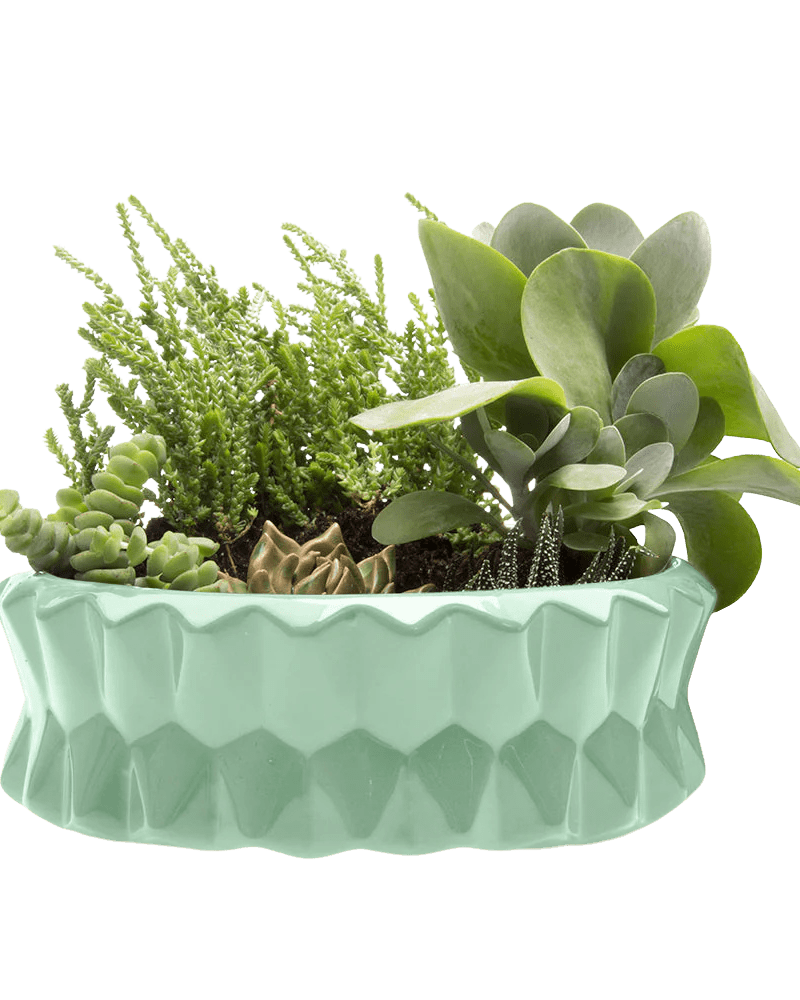 Fang Ceramic Modern Planter For Succulents - Chive Ceramics Studio - Pots - Chive Ceramics Studio