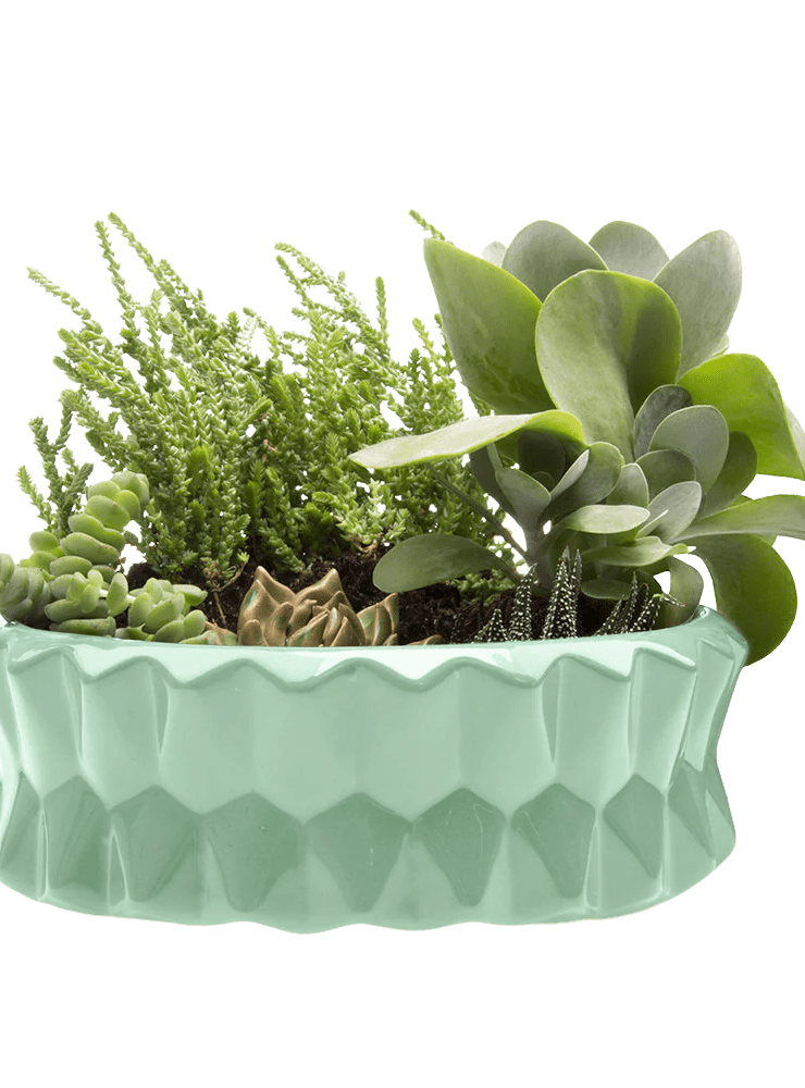 Fang Ceramic Modern Planter For Succulents - Chive Ceramics Studio - Pots - Chive Ceramics Studio