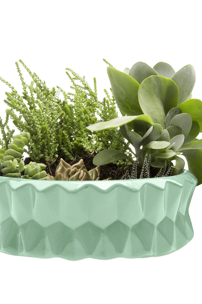 Fang Ceramic Modern Planter For Succulents - Chive Ceramics Studio - Pots - Chive Ceramics Studio