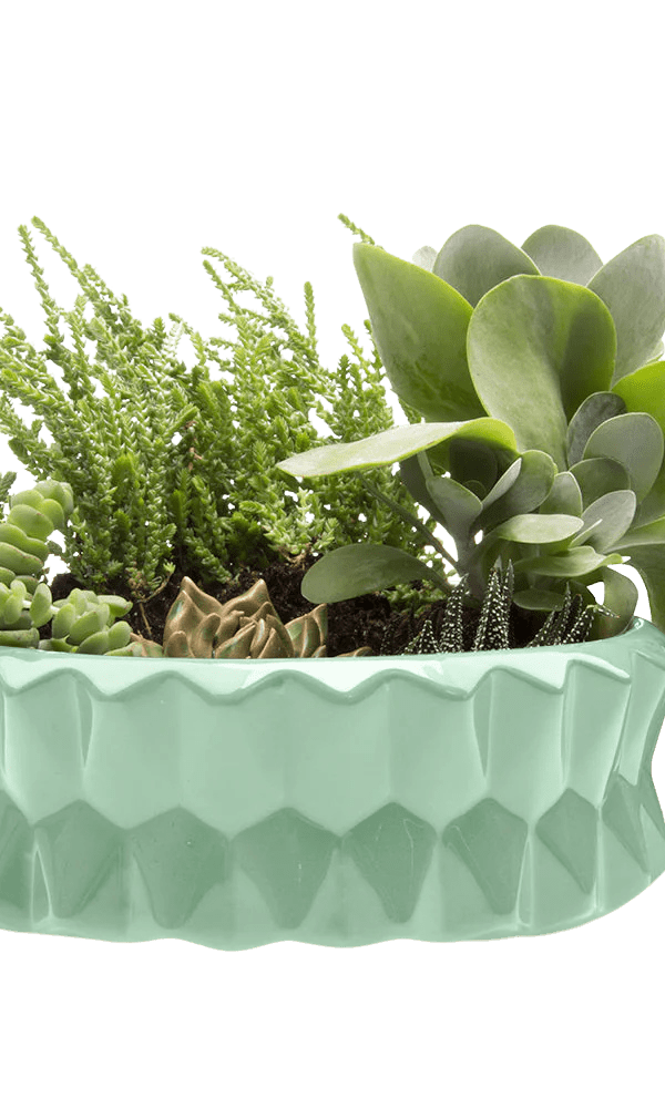 Fang Ceramic Modern Planter For Succulents - Chive Ceramics Studio - Pots - Chive Ceramics Studio