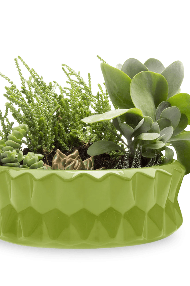 Fang Ceramic Modern Planter For Succulents - Chive Ceramics Studio - Pots - Chive Ceramics Studio