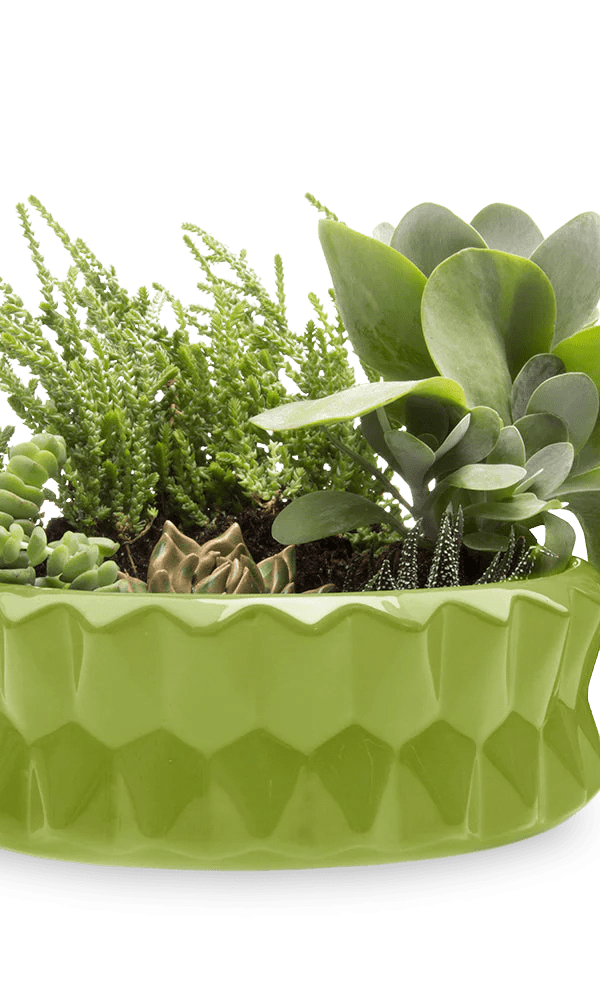 Fang Ceramic Modern Planter For Succulents - Chive Ceramics Studio - Pots - Chive Ceramics Studio