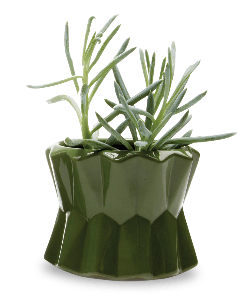 Fang Ceramic Modern Planter For Succulents - Chive Ceramics Studio - Pots - Chive Ceramics Studio
