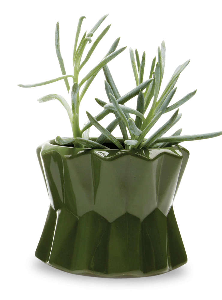 Fang Ceramic Modern Planter For Succulents - Chive Ceramics Studio - Pots - Chive Ceramics Studio
