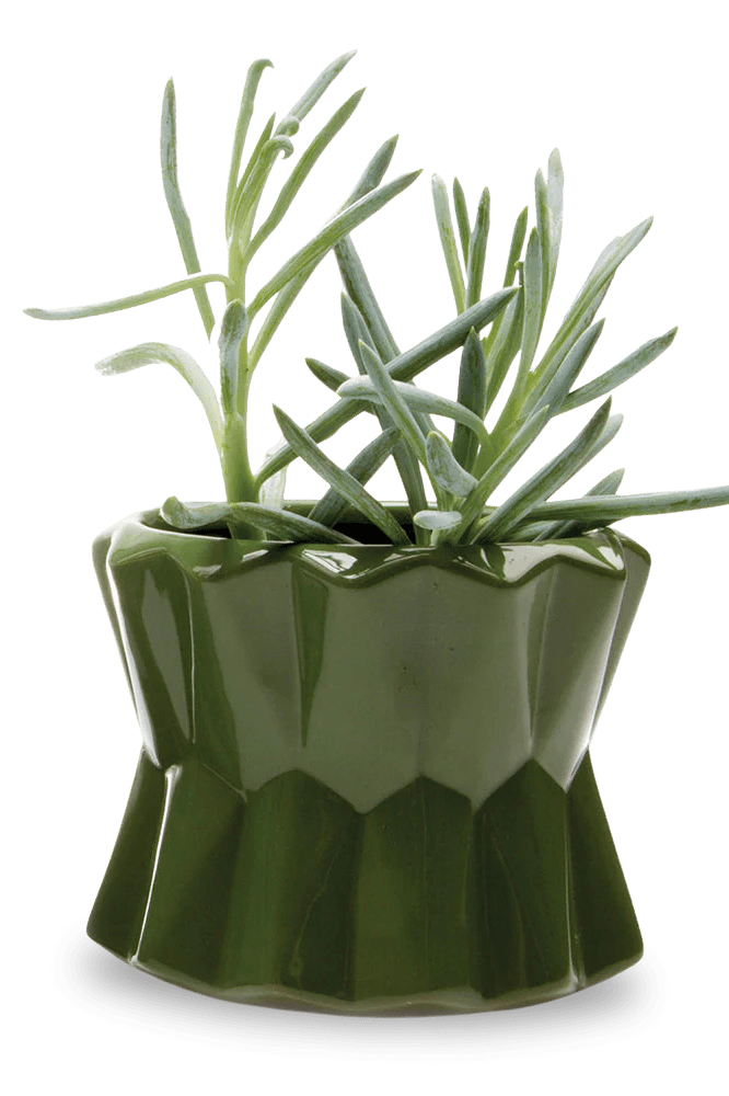 Fang Ceramic Modern Planter For Succulents - Chive Ceramics Studio - Pots - Chive Ceramics Studio