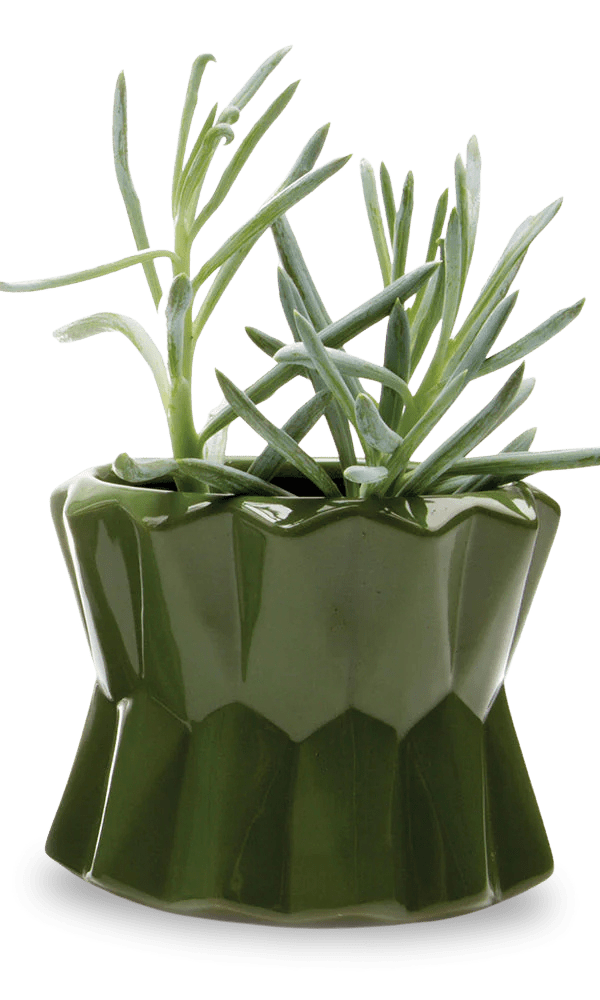 Fang Ceramic Modern Planter For Succulents - Chive Ceramics Studio - Pots - Chive Ceramics Studio