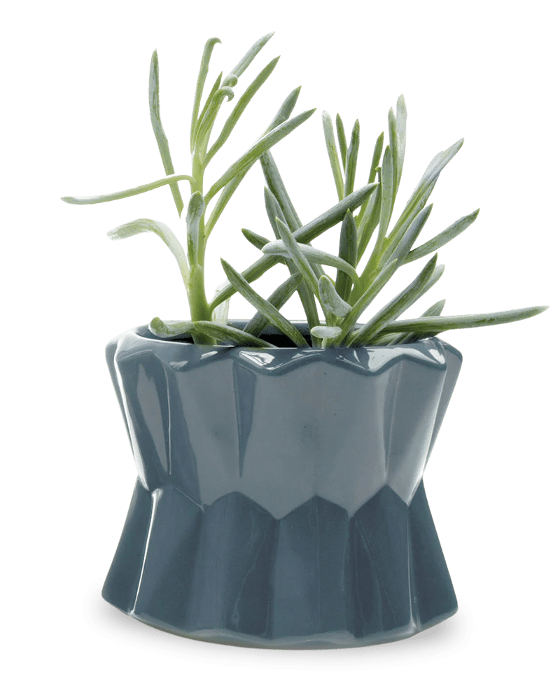 Fang Ceramic Modern Planter For Succulents - Chive Ceramics Studio - Pots - Chive Ceramics Studio