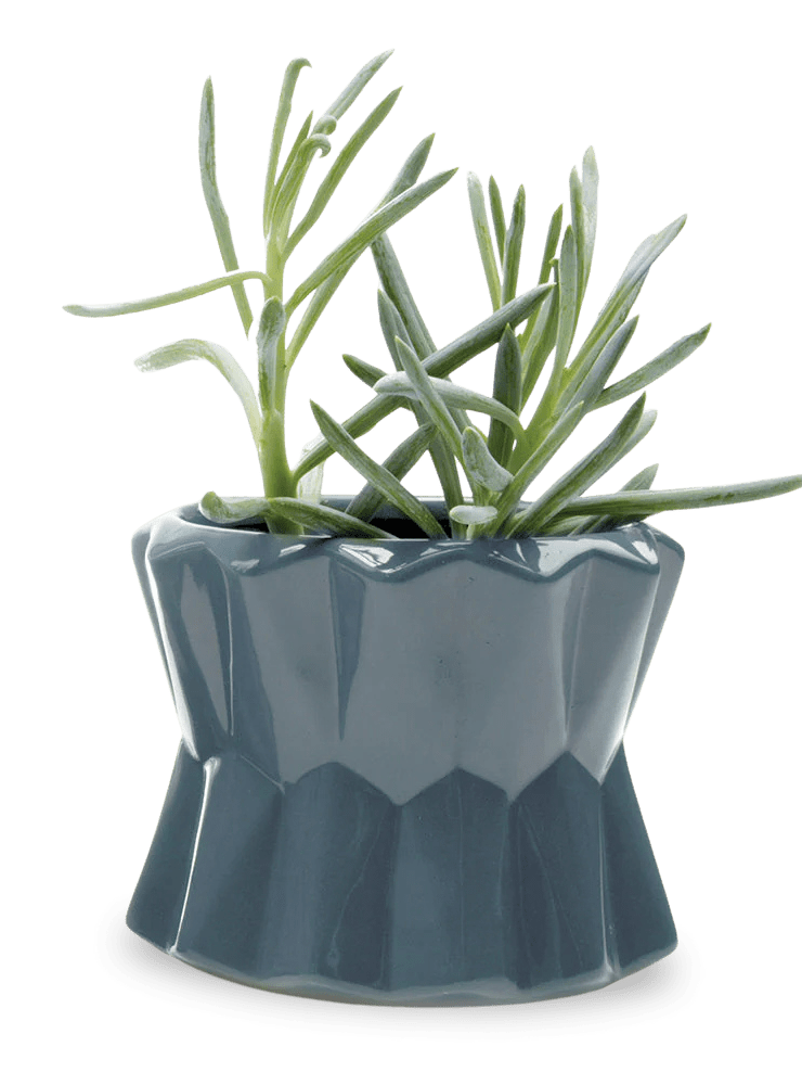 Fang Ceramic Modern Planter For Succulents - Chive Ceramics Studio - Pots - Chive Ceramics Studio