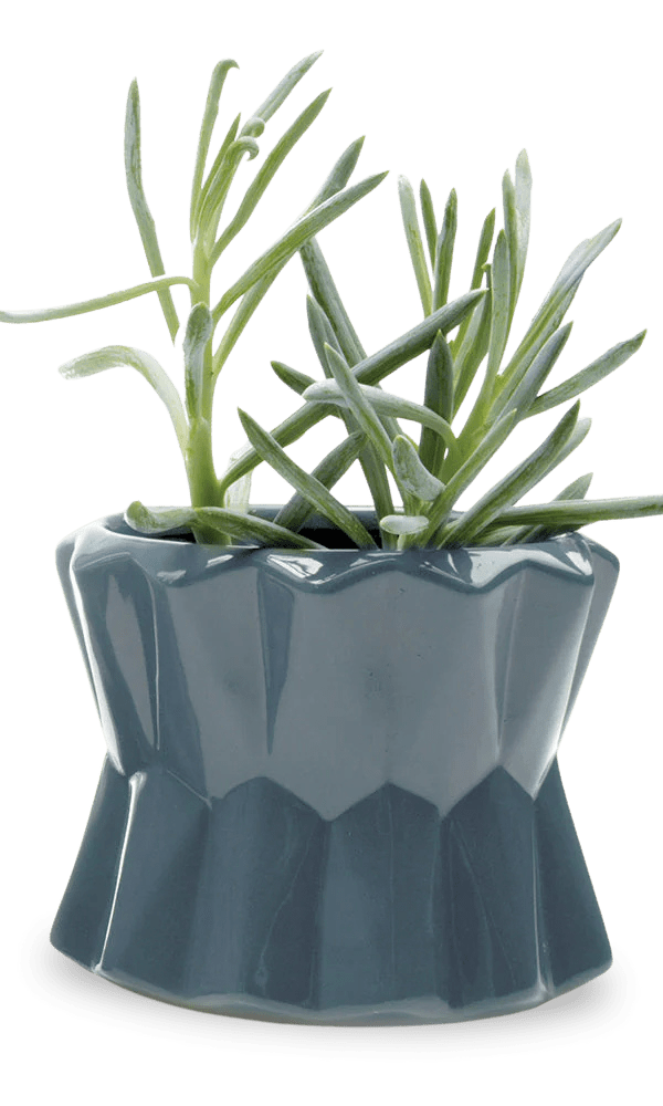 Fang Ceramic Modern Planter For Succulents - Chive Ceramics Studio - Pots - Chive Ceramics Studio