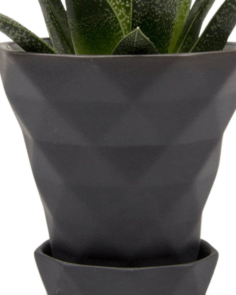 Diamond Porcelain Modern Indoor Plant Pot With Saucer - Chive Ceramics Studio - Pots - Chive US
