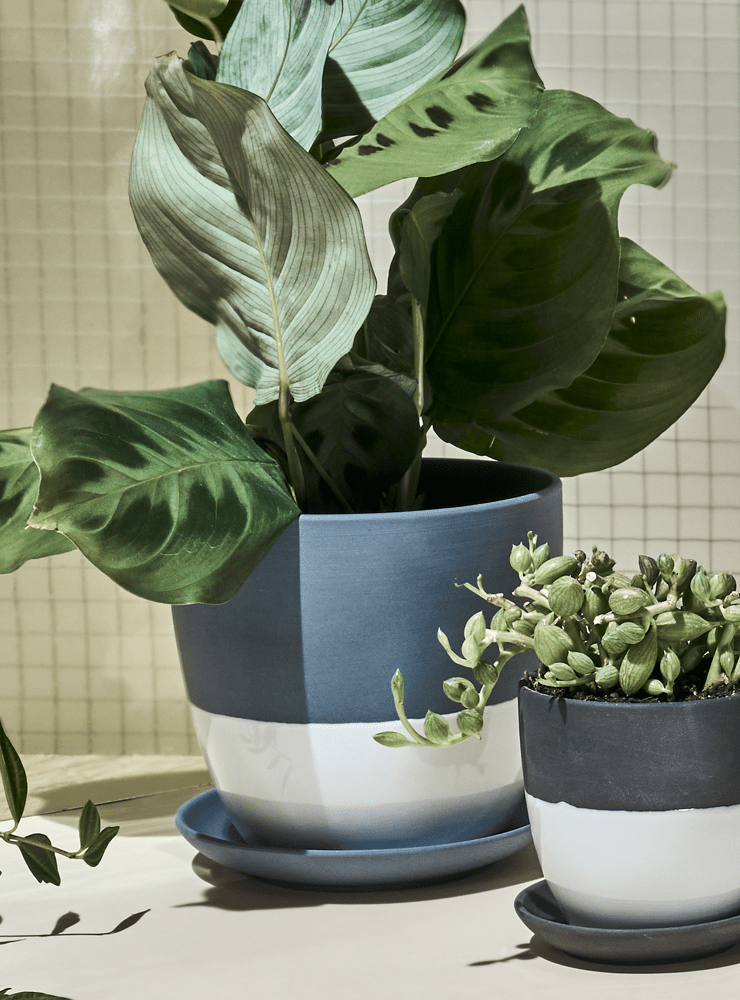 Dyad Porcelain Modern Indoor Plant Pot With Saucer - Chive Ceramics Studio - Pots - Chive US