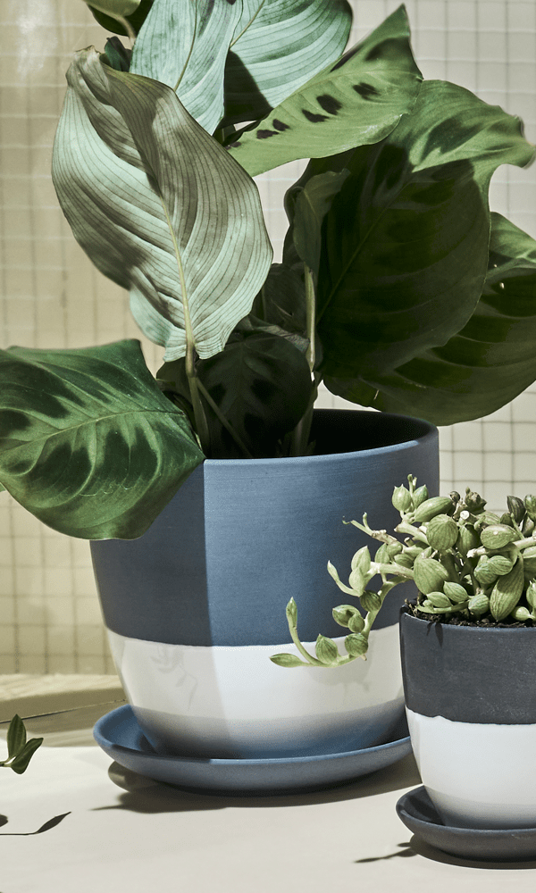 Dyad Porcelain Modern Indoor Plant Pot With Saucer - Chive Ceramics Studio - Pots - Chive US