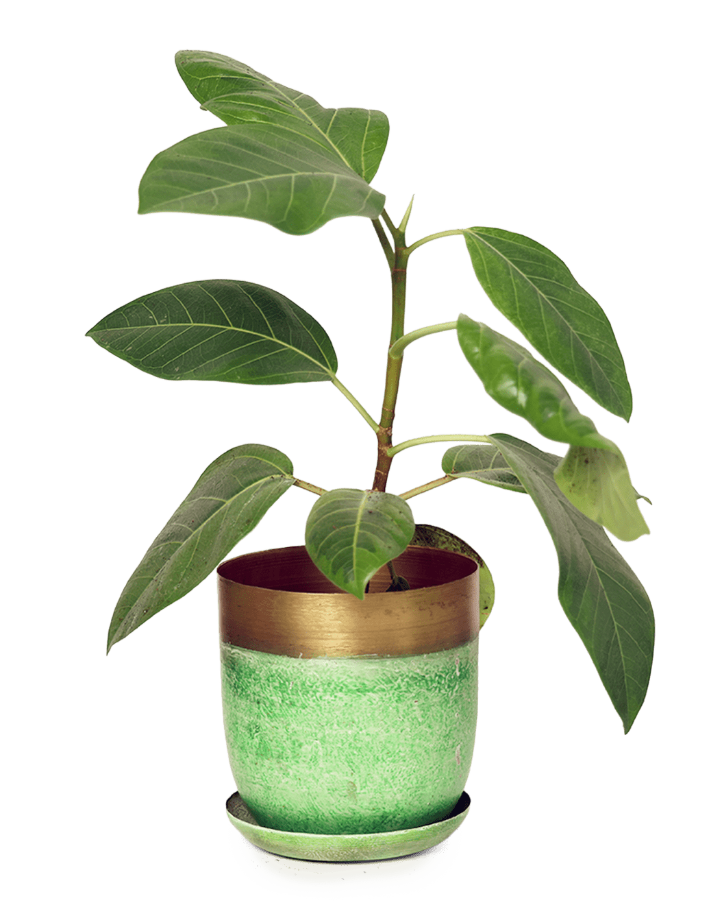 Joe Metal Pot With Drainage Hole | 3 & 5 inch - Chive Ceramics Studio - Pots - Chive Ceramics Studio