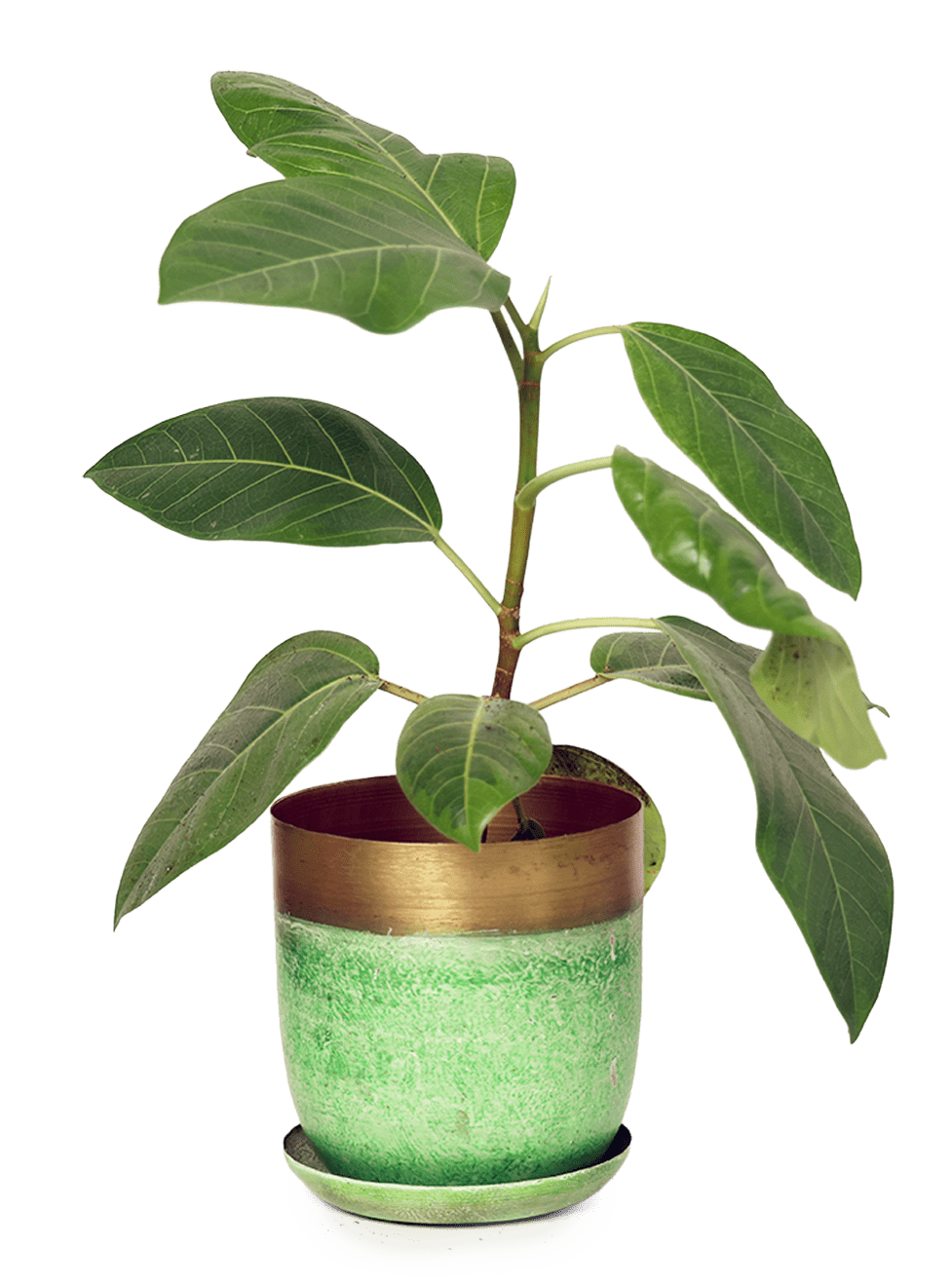 Joe Metal Pot With Drainage Hole | 3 & 5 inch - Chive Ceramics Studio - Pots - Chive Ceramics Studio