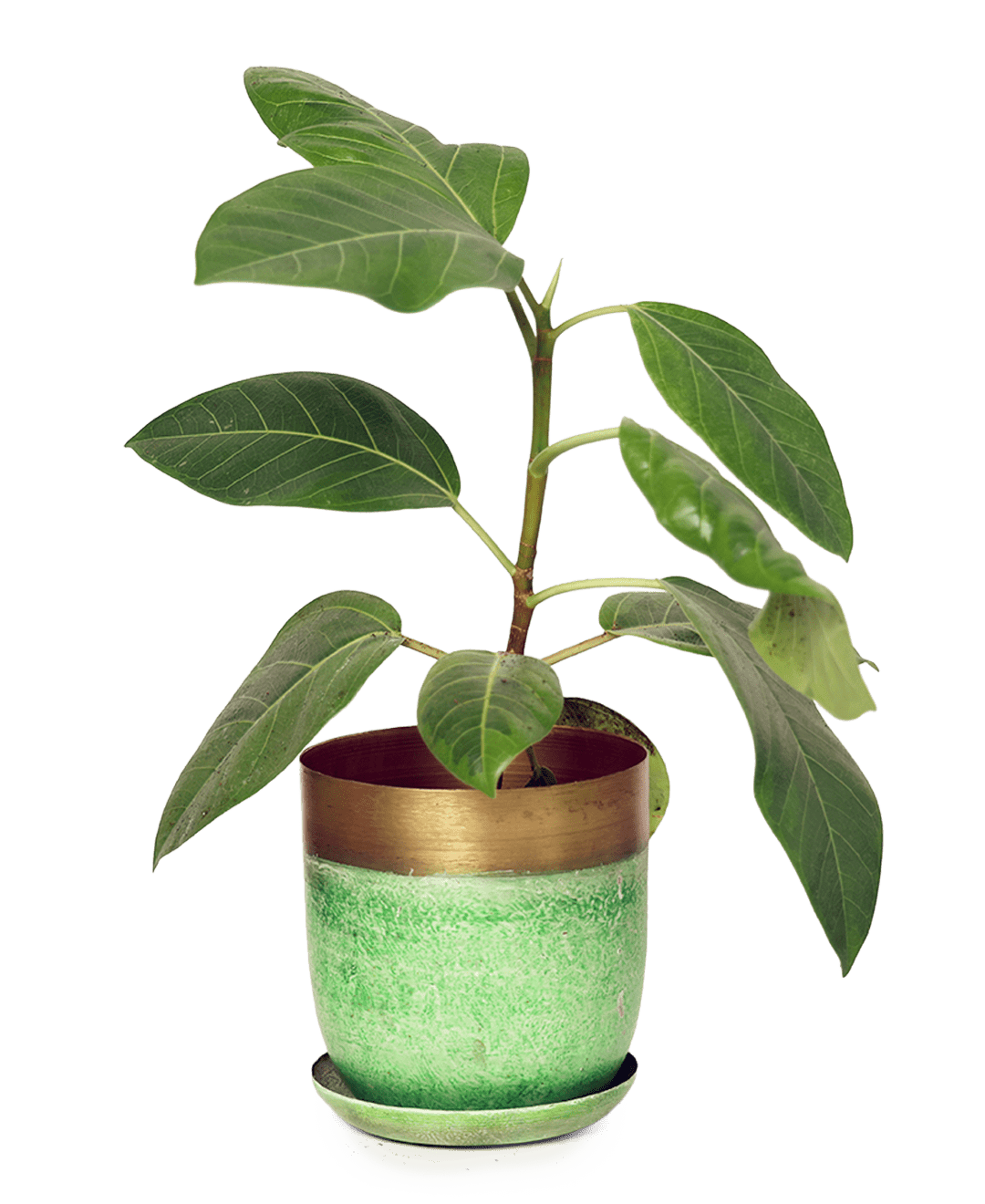 Joe Metal Pot With Drainage Hole | 3 & 5 inch - Chive Ceramics Studio - Pots - Chive Ceramics Studio