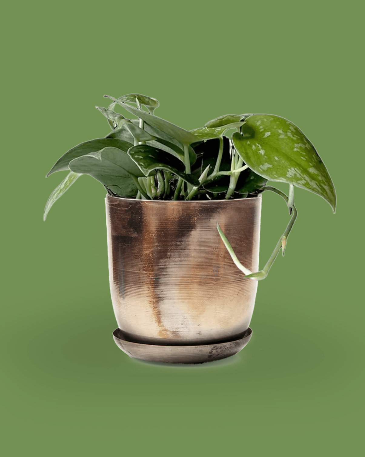 Joe Metal 5" Pot - Chive Ceramics Studio - Pots - Chive Ceramics Studio