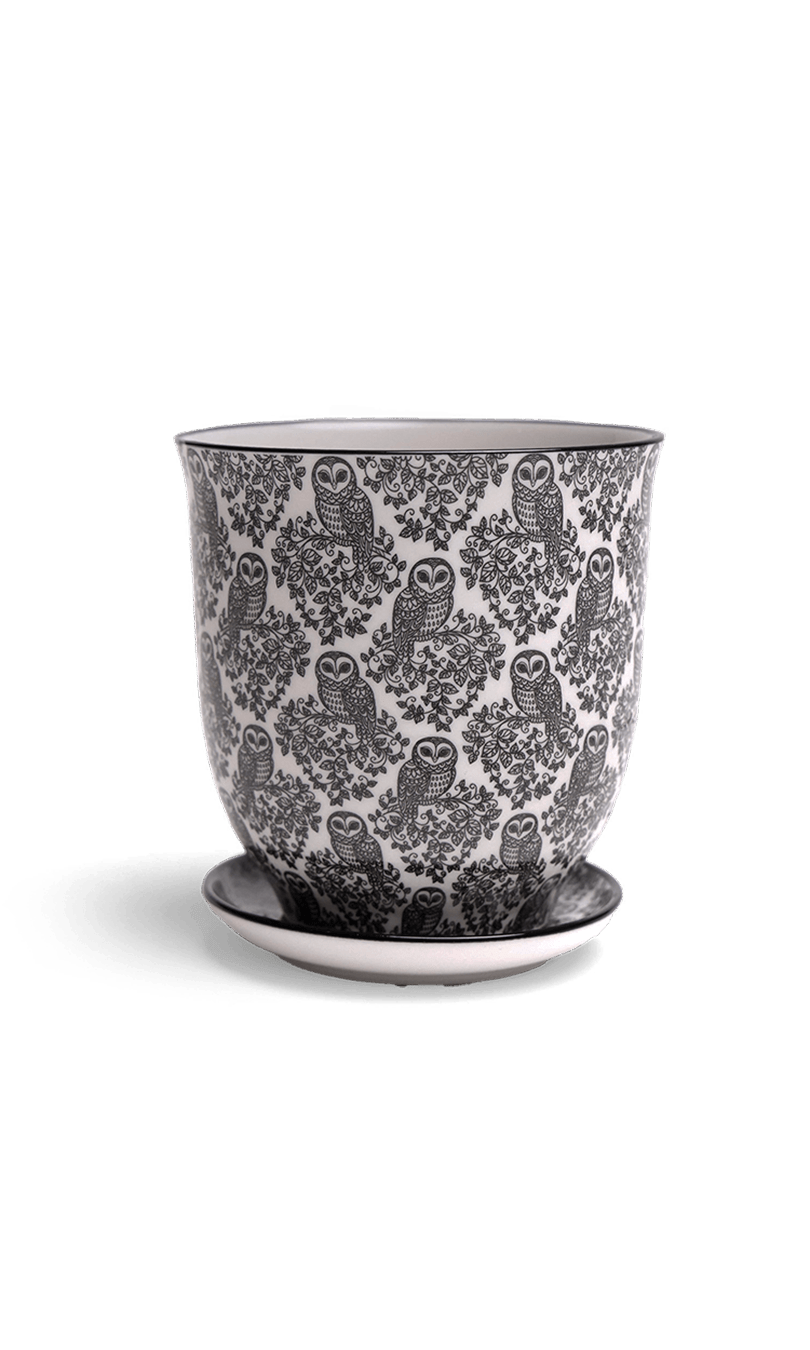 Liberte Porcelain Pot And Saucer Set With Drainage - Chive Ceramics Studio - Pots - Chive Ceramics Studio