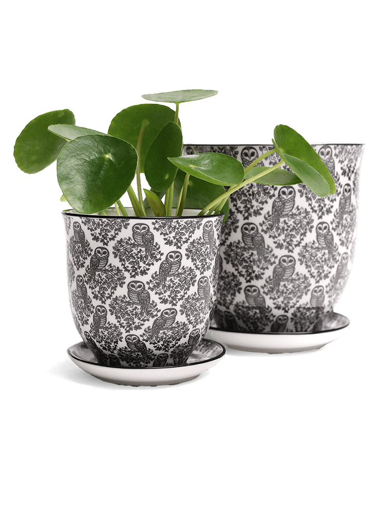 Liberte Porcelain Pot And Saucer Set With Drainage - Chive Ceramics Studio - Pots - Chive Ceramics Studio