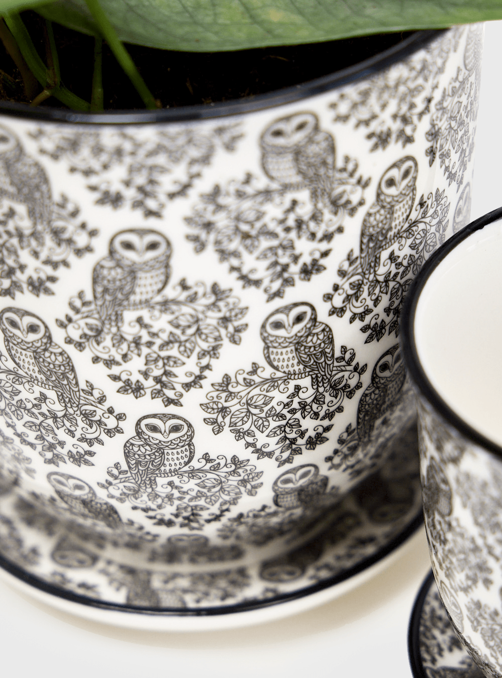 Liberte Porcelain Pot And Saucer Set With Drainage - Chive Ceramics Studio - Pots - Chive Ceramics Studio