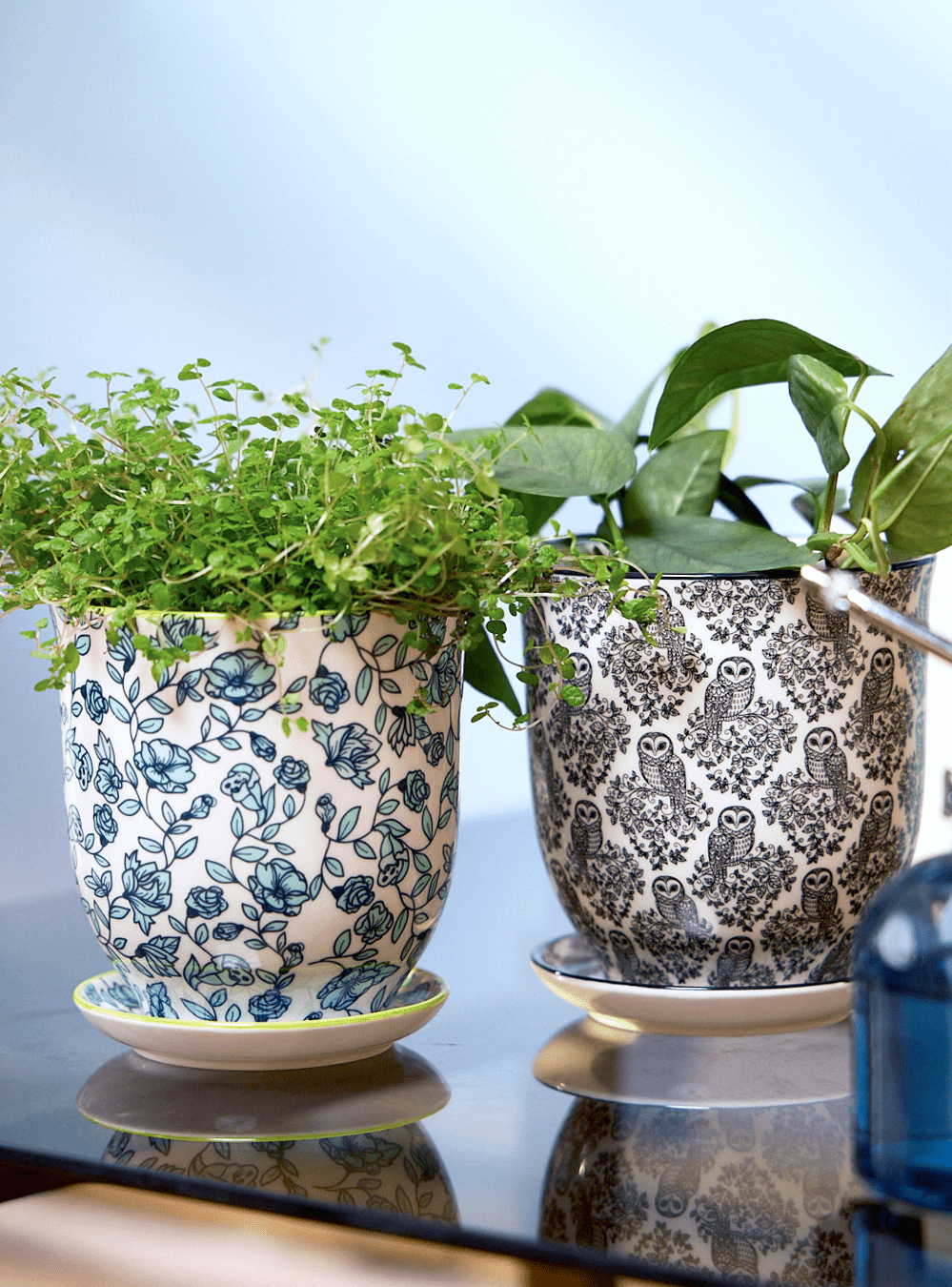 Liberte Porcelain Pot And Saucer Set With Drainage - Chive Ceramics Studio - Pots - Chive Ceramics Studio