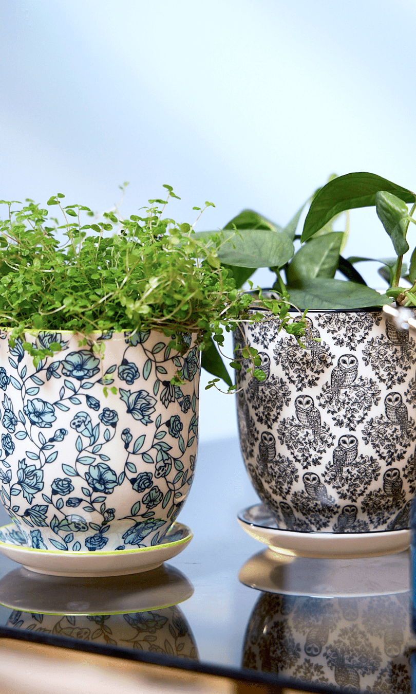 Liberte Porcelain Pot And Saucer Set With Drainage - Chive Ceramics Studio - Pots - Chive Ceramics Studio