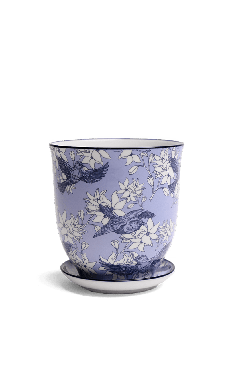 Liberte Porcelain Pot And Saucer Set With Drainage - Chive Ceramics Studio - Pots - Chive Ceramics Studio