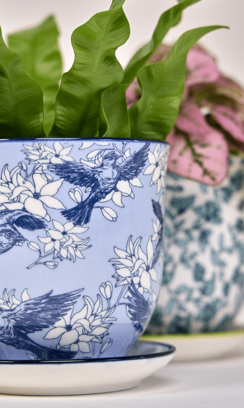 Liberte Porcelain Pot And Saucer Set With Drainage - Chive Ceramics Studio - Pots - Chive Ceramics Studio