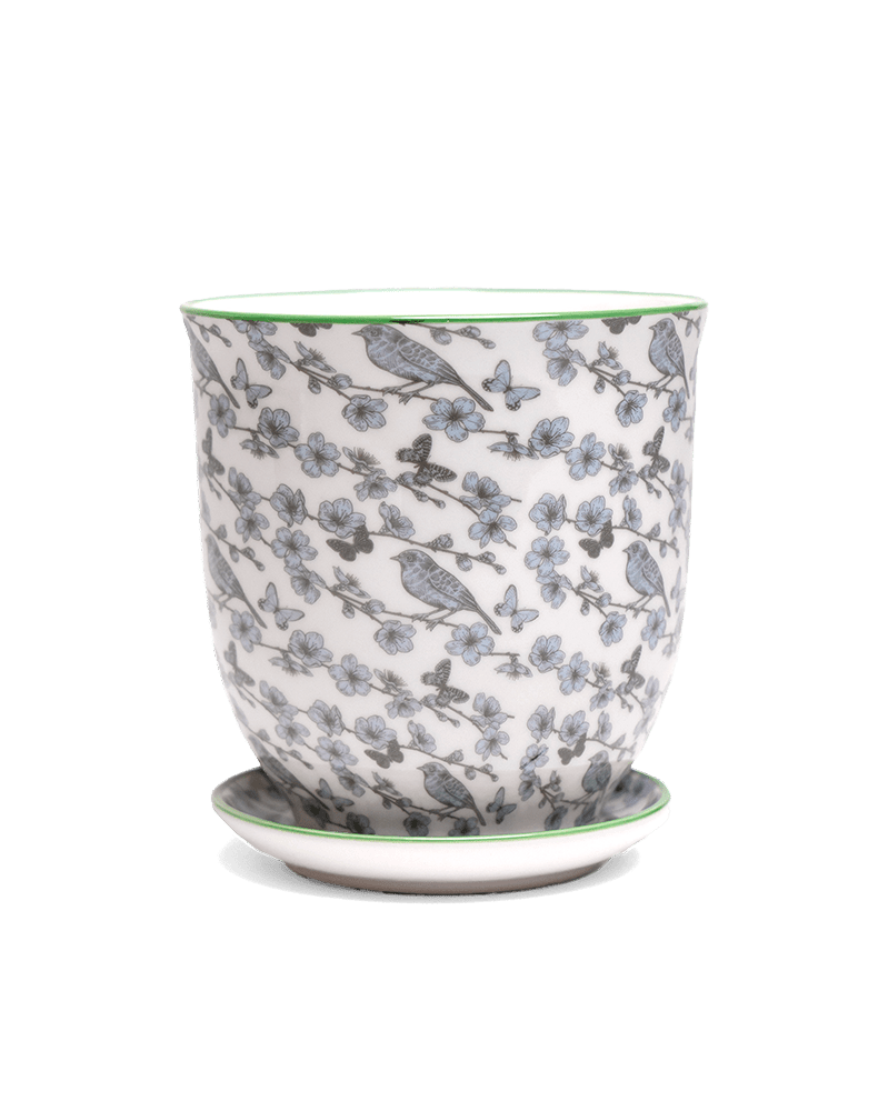 Liberte 5 Porcelain Pot And Saucer With Drainage - Chive Ceramics Studio - Pots - Chive Ceramics Studio