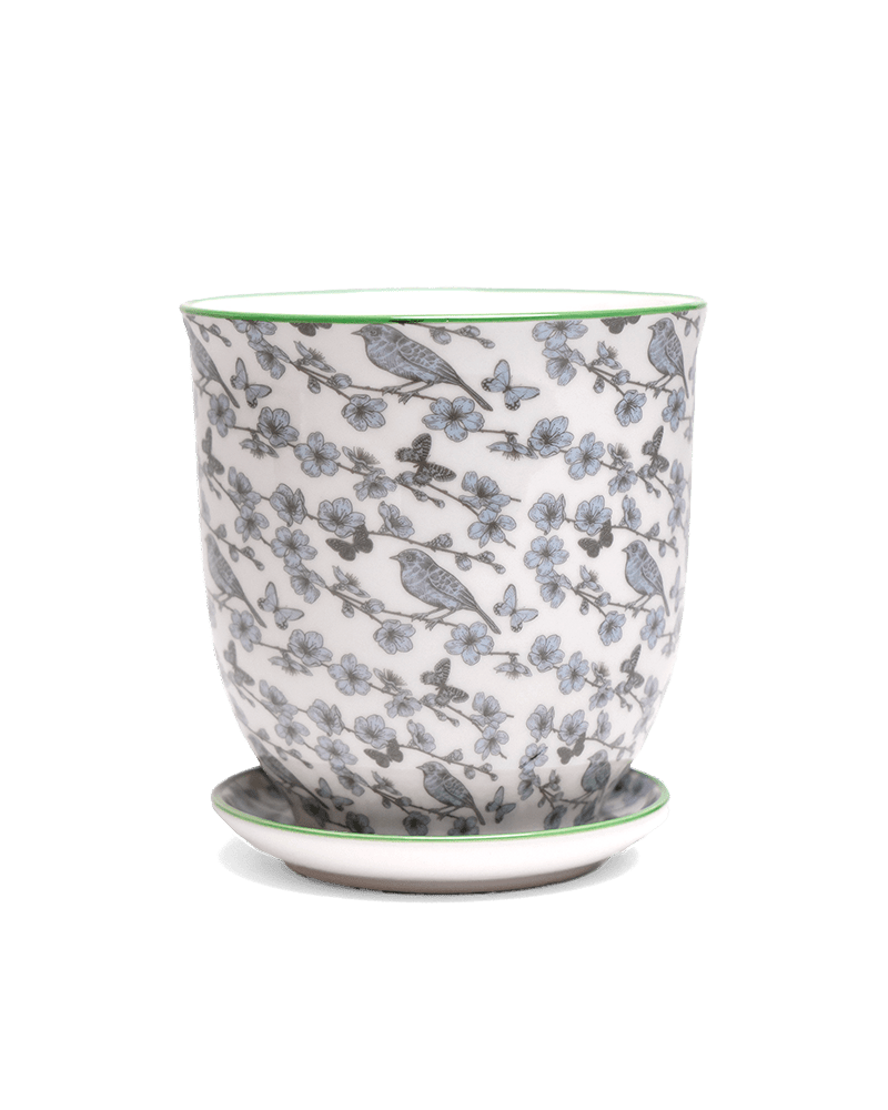Liberte 5 Porcelain Pot And Saucer With Drainage - Chive Ceramics Studio - Pots - Chive Ceramics Studio