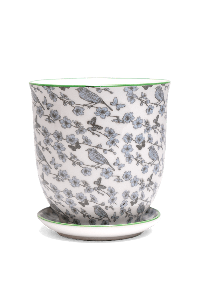 Liberte 5 Porcelain Pot And Saucer With Drainage - Chive Ceramics Studio - Pots - Chive Ceramics Studio